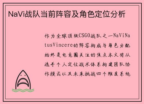 NaVi战队当前阵容及角色定位分析